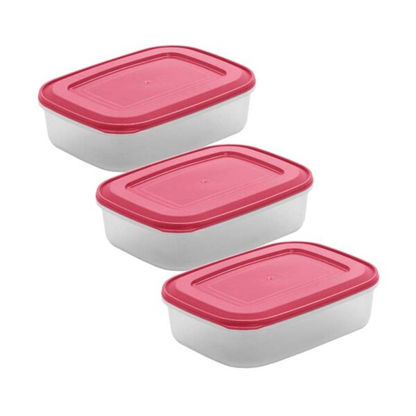 Set of 3 rectangular airtight containers 1L Coral