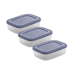 Set of 3 rectangular airtight containers 1L Violet