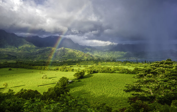 Día Mundial del Clima: compromiso circular y transparencia corporativa en Sp-Berner